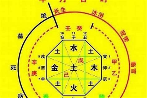 八字喜土|如何看出八字喜土 (如何判断八字喜什么五行)